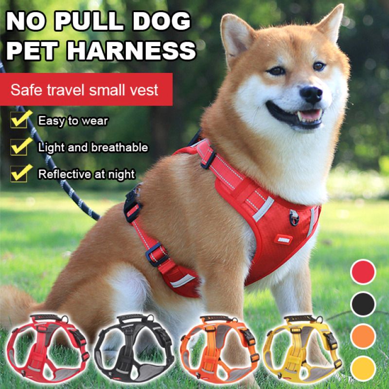 main.png