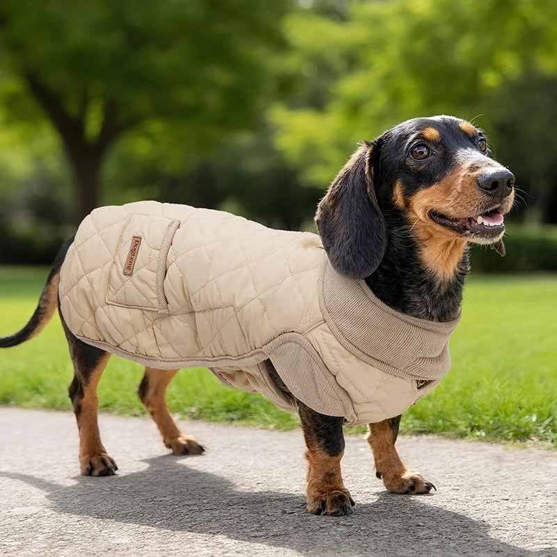 Winter Dog Coat for Dachshund – Water-Repellent Quilted Jacket for Small, Short-Leg Dogs 🐾