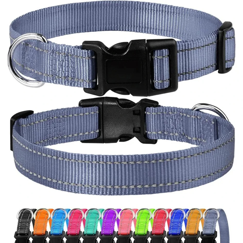 Adjustable Reflective Nylon Dog Collar – XS to XL