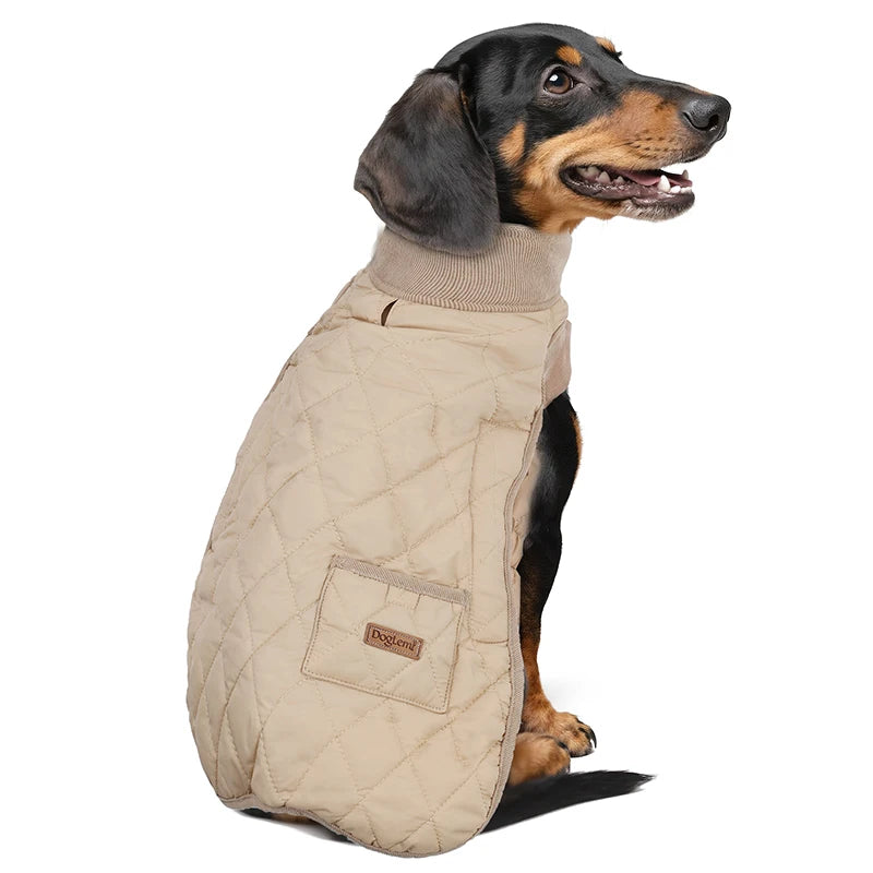 Winter Dog Coat for Dachshund – Water-Repellent Quilted Jacket for Small, Short-Leg Dogs 🐾
