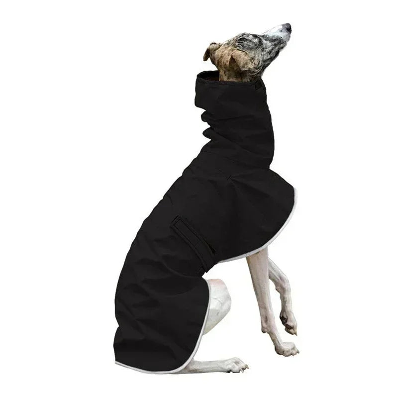 Italian Greyhound / Whippet Waterproof Winter Coat