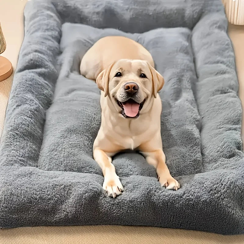Elevated Dog Bed – Microfibre Leather Cover with Removable Cushion