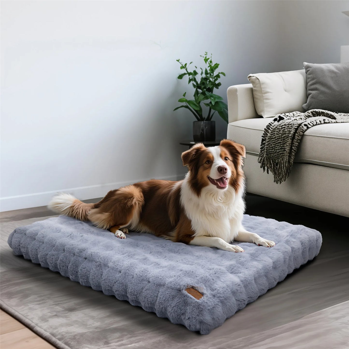 Ultra-Soft Plush Pet Bed