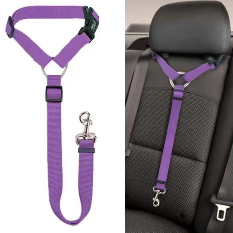 Two-in-One Pet Car Seat Belt &amp; Lead