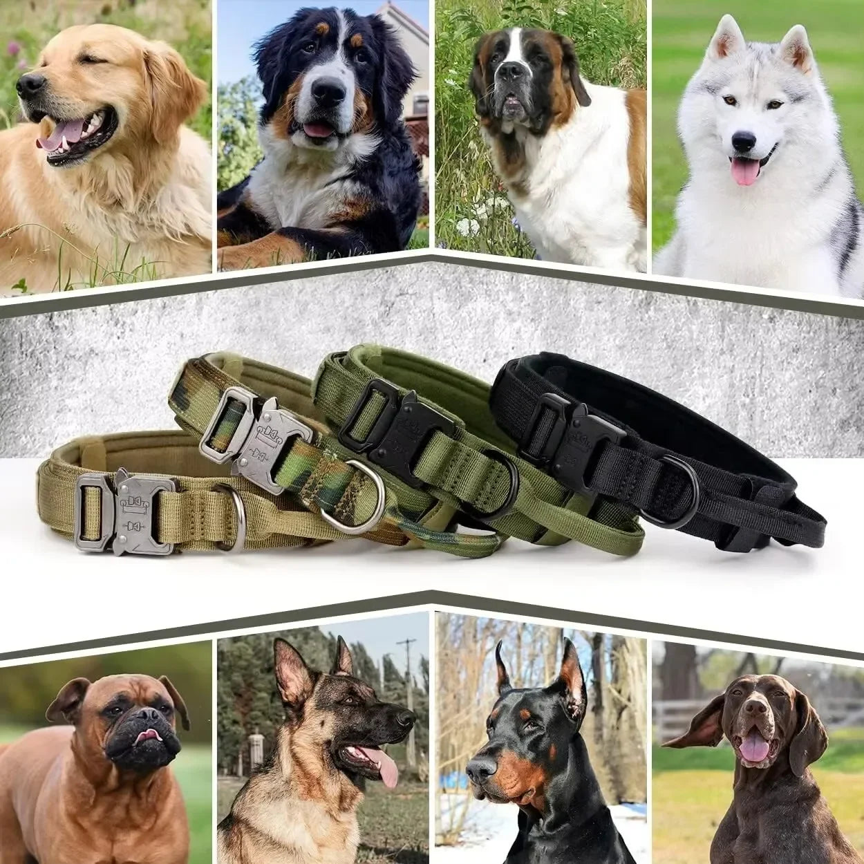 Tactical Dog Collar – Heavy-Duty Nylon with Metal Buckle