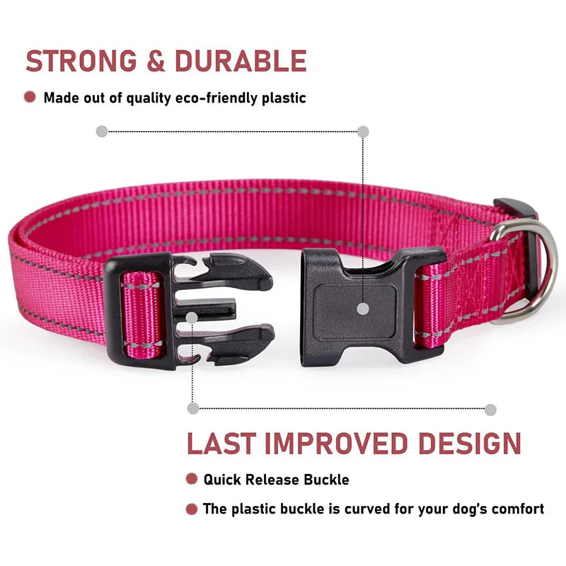 Reflective Adjustable Nylon Dog Collar with Buckle