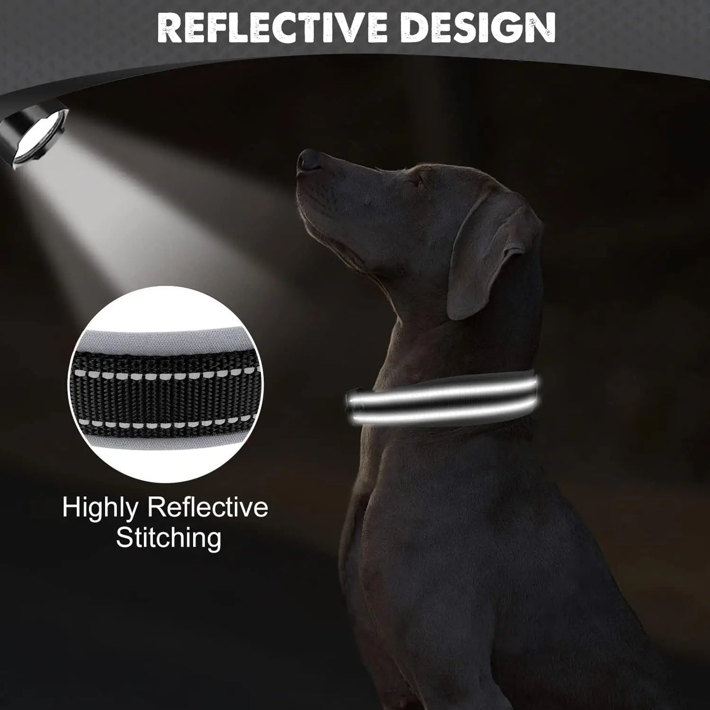 Solid Nylon Dog Collar – For Small, Medium, Large & XL Dogs