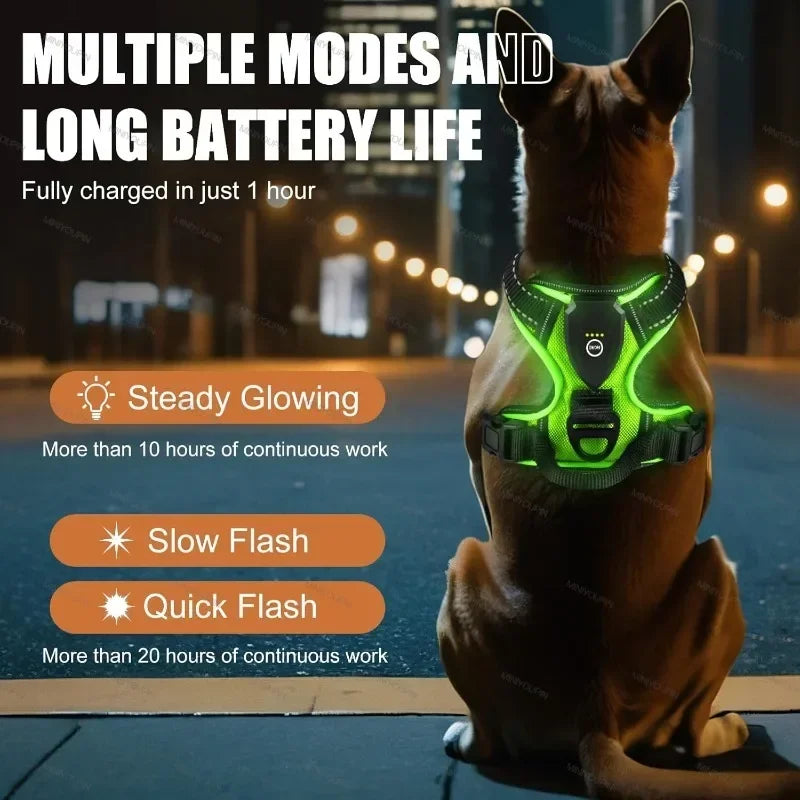 LED Luminous Rechargeable No-Pull Dog Harness – Adjustable Light-Up Pet Vest