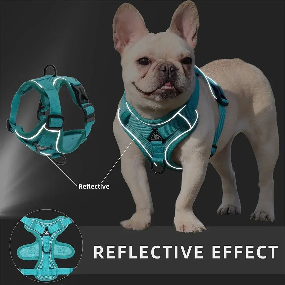 No-Pull Reflective Dog Harness &amp; Lead Set – Adjustable for Small Pets