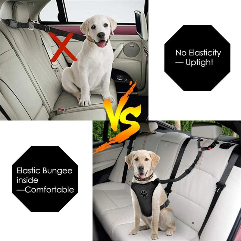 Reflective Pet Car Seat Belt &amp; Walking Lead