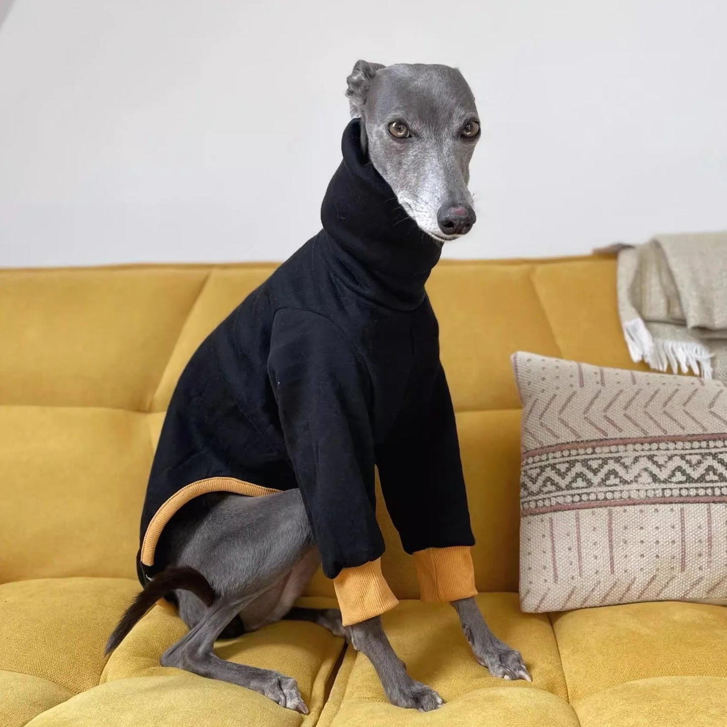 Winter Cotton Dog Coat – 4-Legged Warm Sweatshirt for Whippet, Italian Greyhound & Medium-Large Breeds 🐾