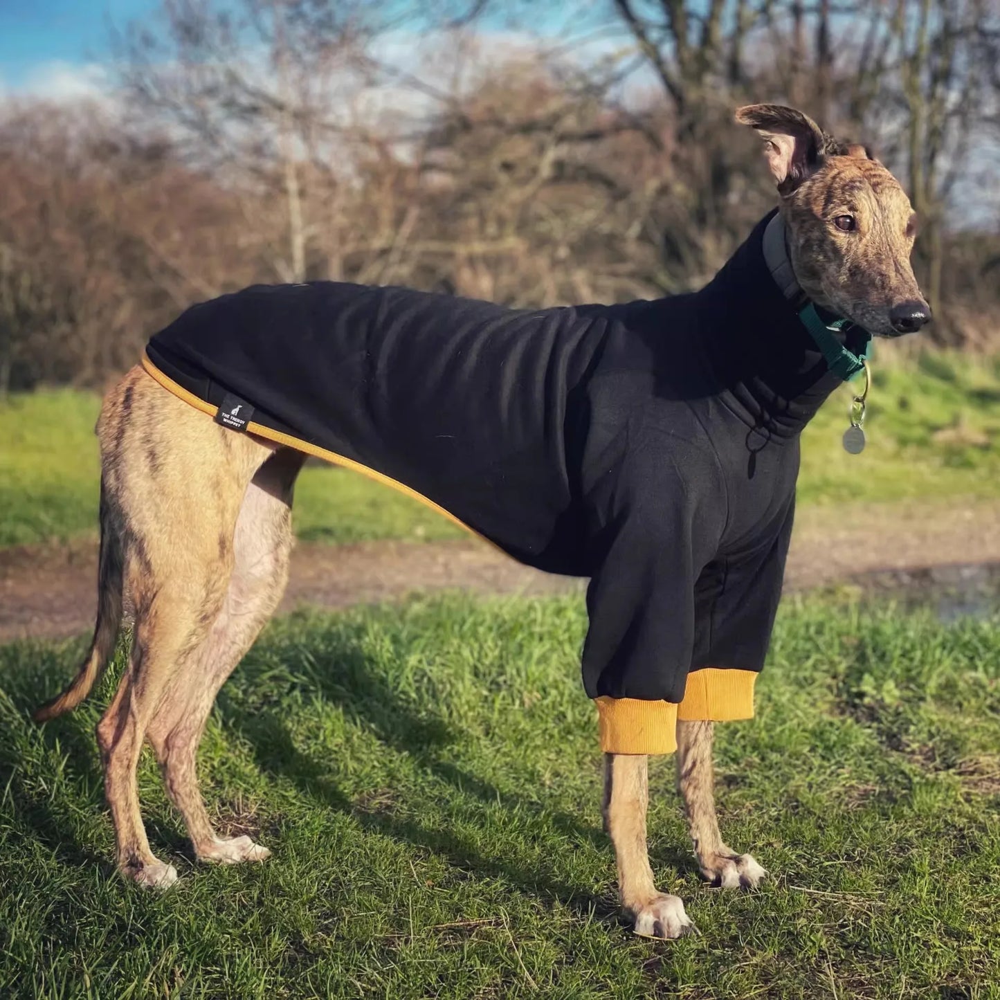 Winter Cotton Dog Coat – 4-Legged Warm Sweatshirt for Whippet, Italian Greyhound & Medium-Large Breeds 🐾