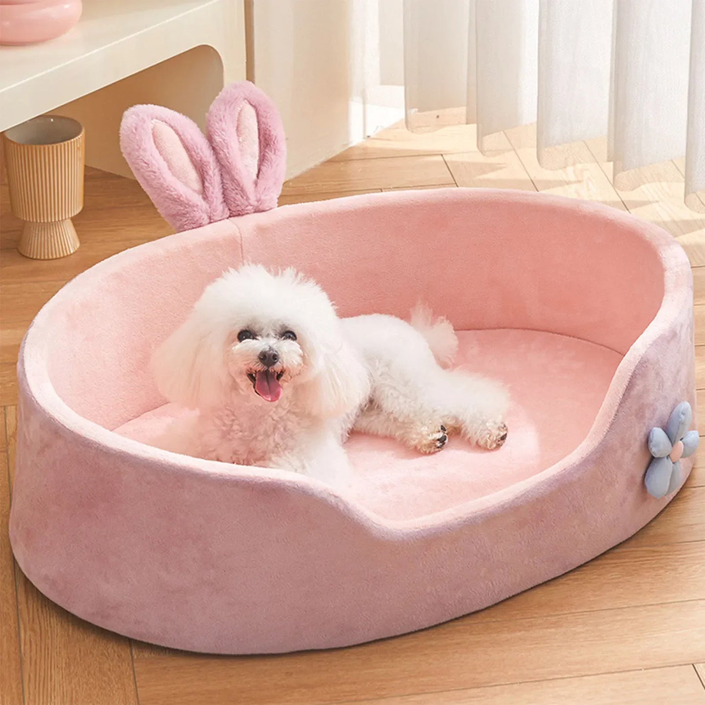 Large Dog Sofa Bed