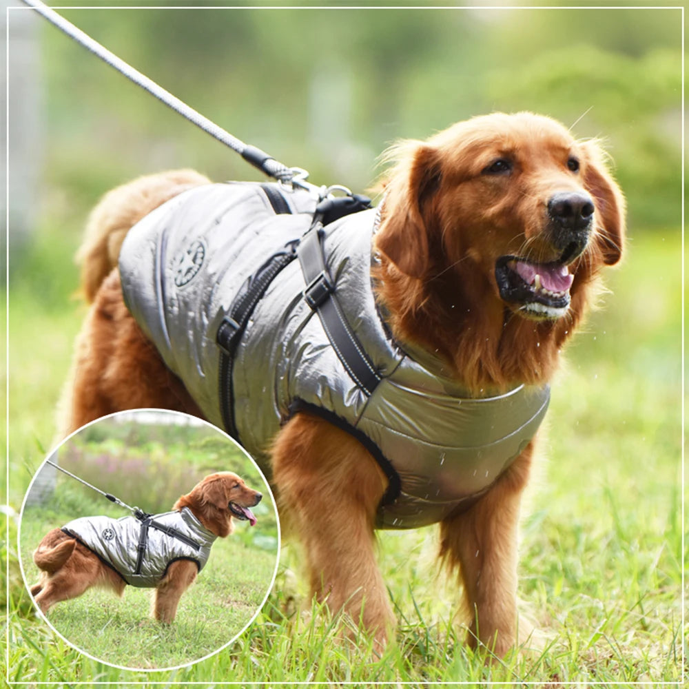 Warm Large Pet Dog Jacket with Harness – Waterproof Winter Coat 🐾