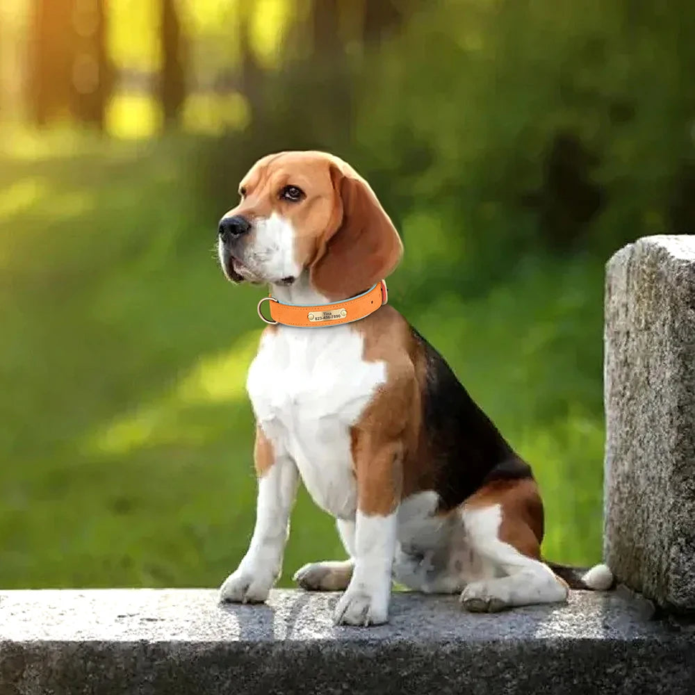 Personalised PU Leather Dog Collar – Free Engraving