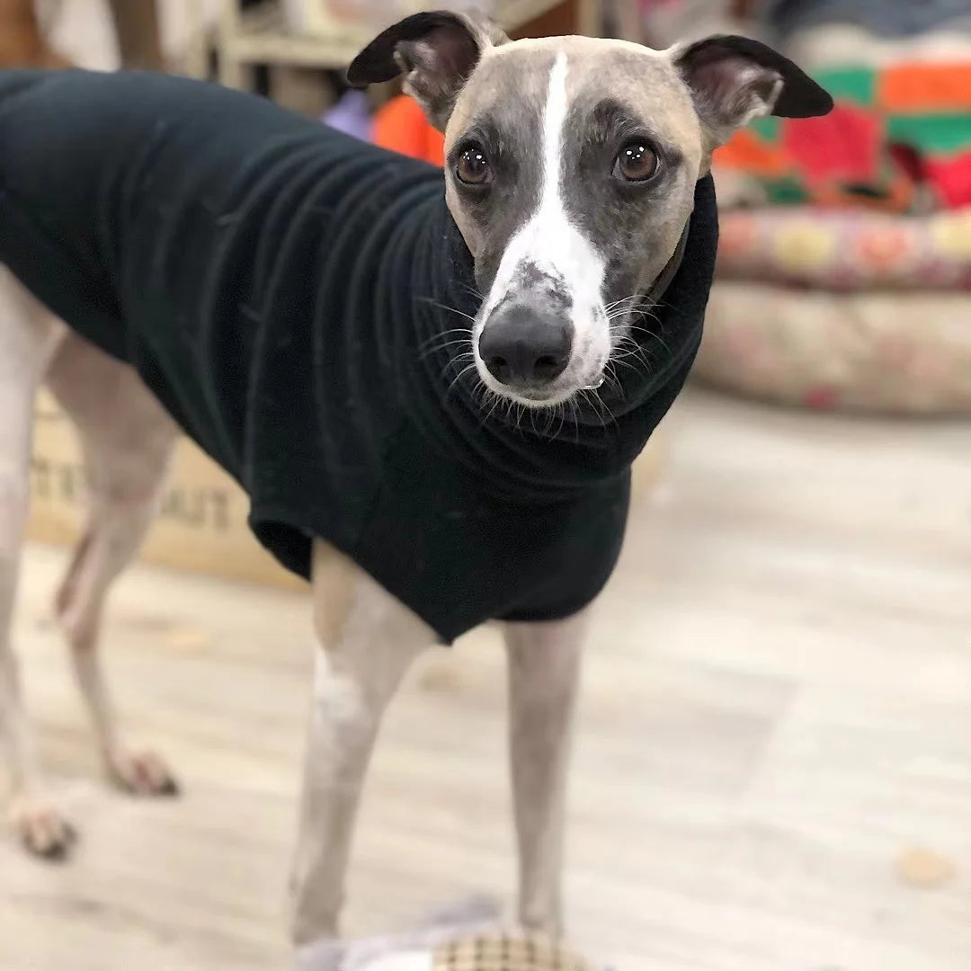 Winter Fleece Whippet Vest – Soft Turtleneck Jumper for Italian Greyhounds 🐾