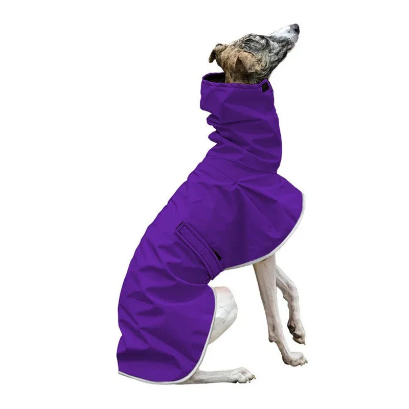 Italian Greyhound / Whippet Waterproof Winter Coat