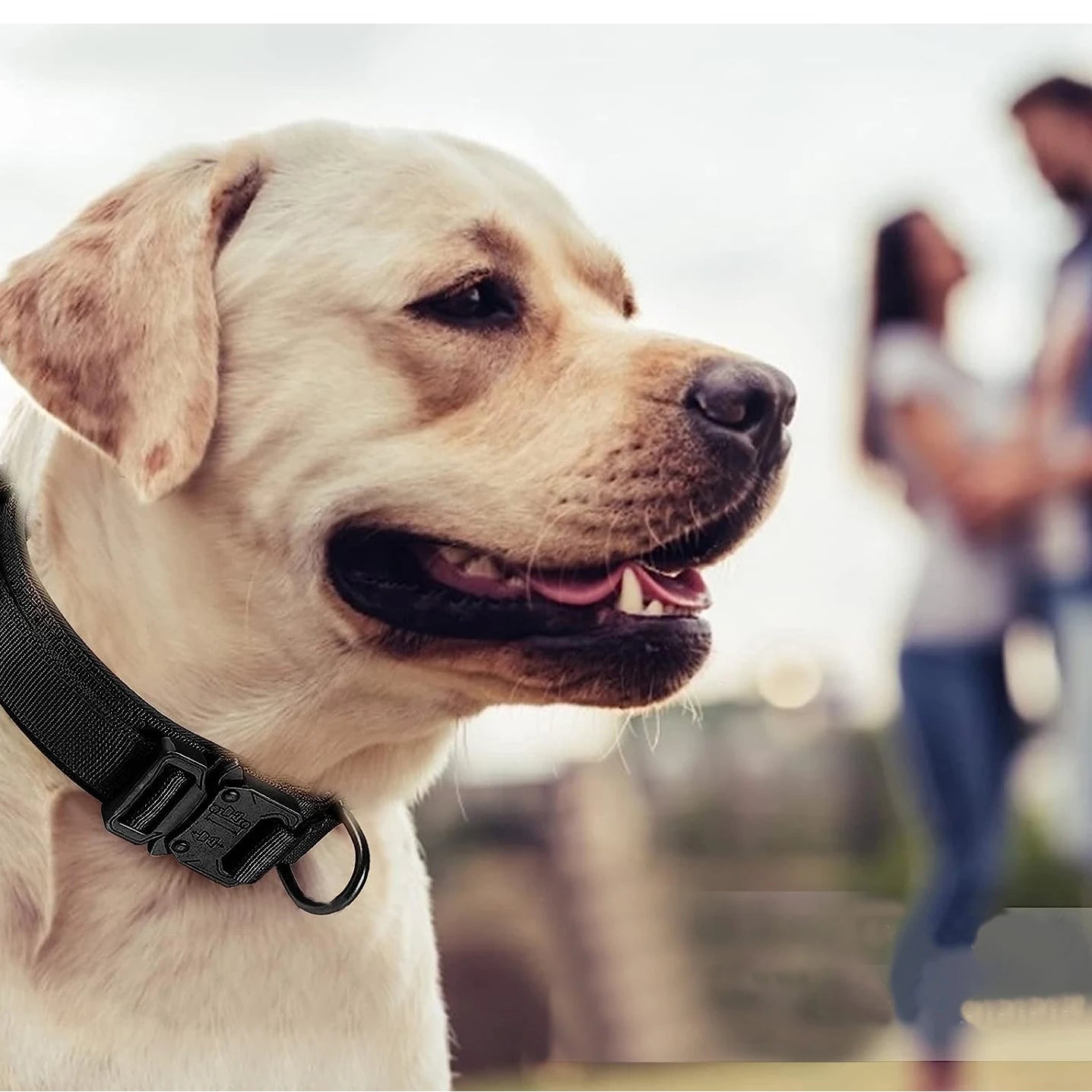 Tactical Dog Collar