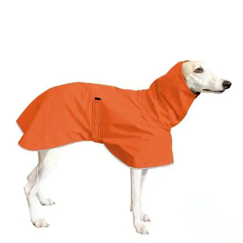 Italian Greyhound / Whippet Waterproof Winter Coat