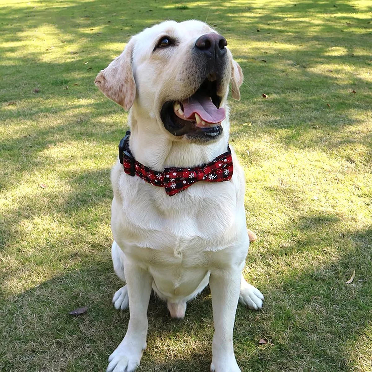 🎄 Christmas Plaid Bow Tie Dog Collar – Adjustable, Festive & Comfortable