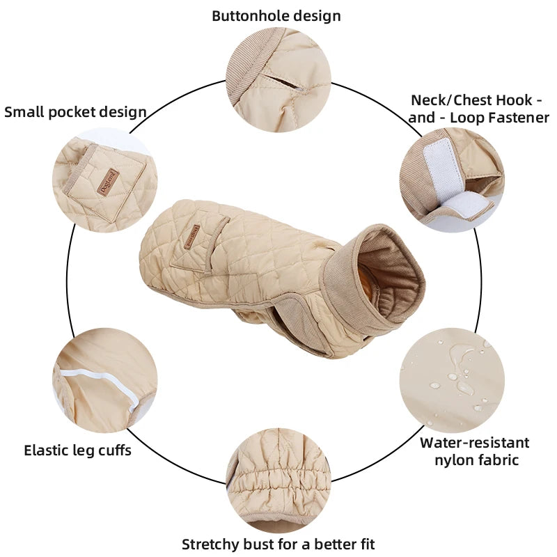 Winter Dog Coat for Dachshund – Water-Repellent Quilted Jacket for Small, Short-Leg Dogs 🐾