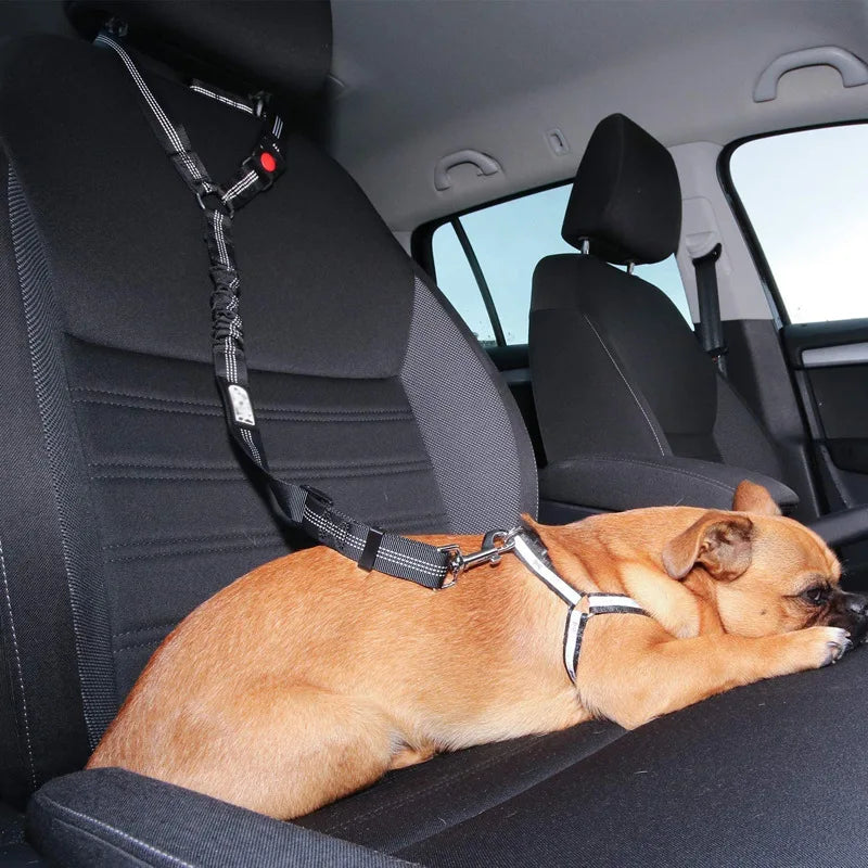 Reflective Pet Car Seat Belt &amp; Walking Lead