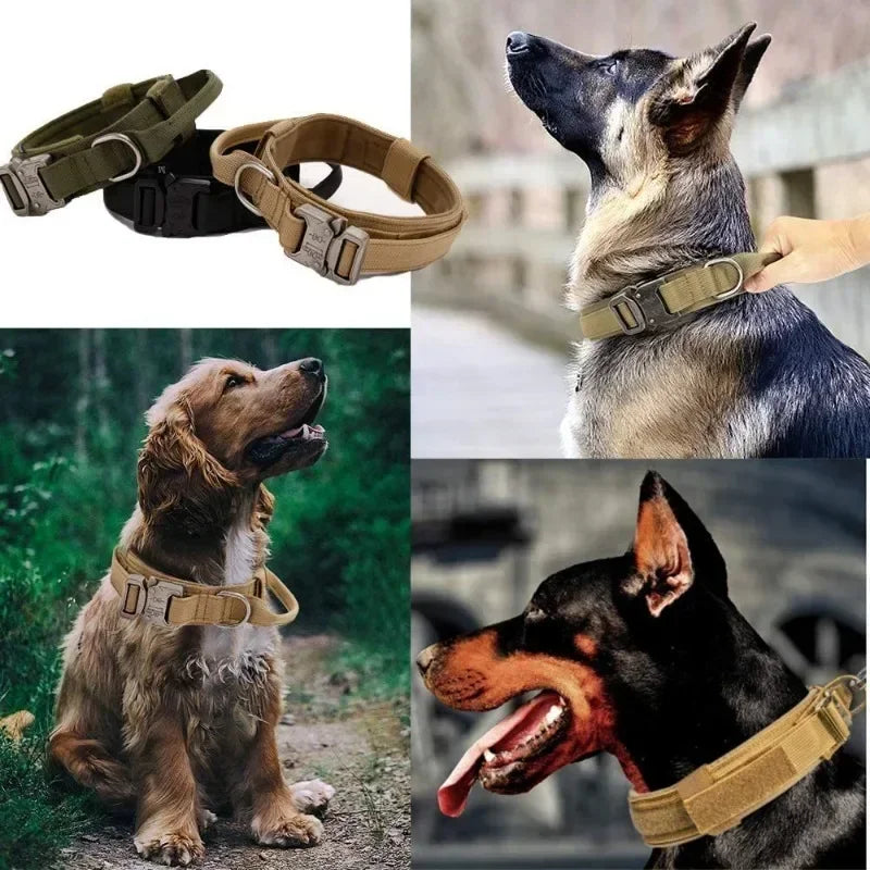 Tactical Dog Collar – Heavy-Duty Nylon with Metal Buckle