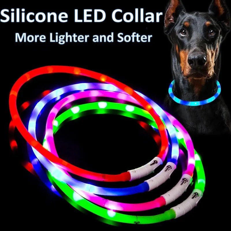 Rechargeable LED Dog Collar – Adjustable, Ultra-Light & Night-Safe
