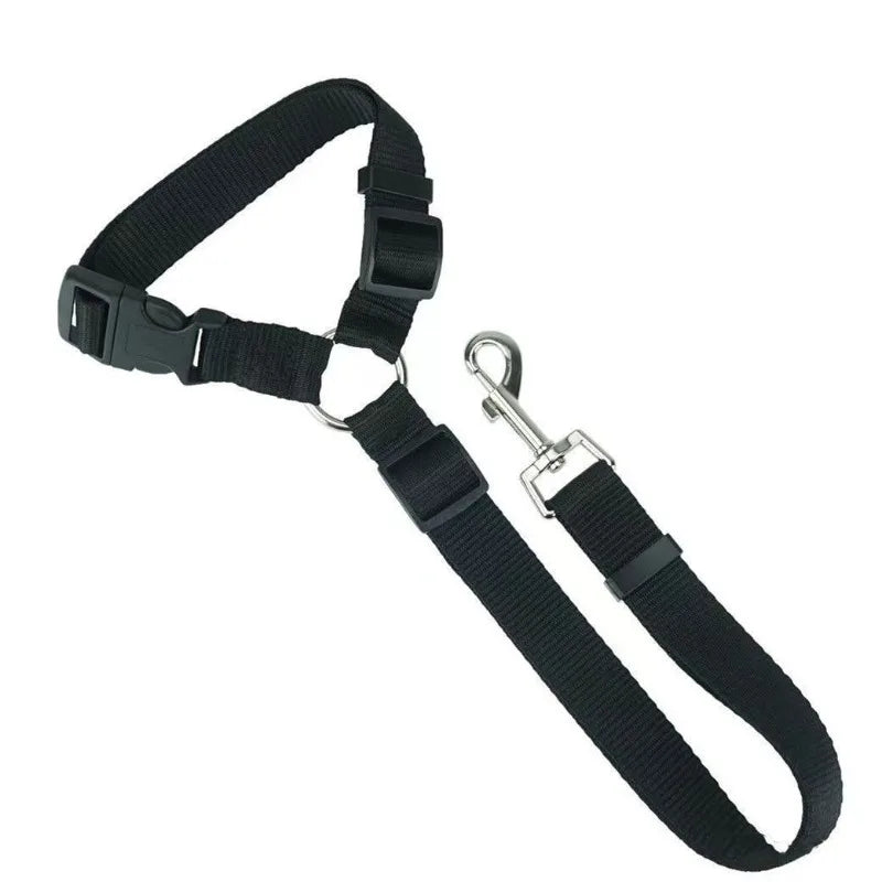 Two-in-One Pet Car Seat Belt &amp; Lead