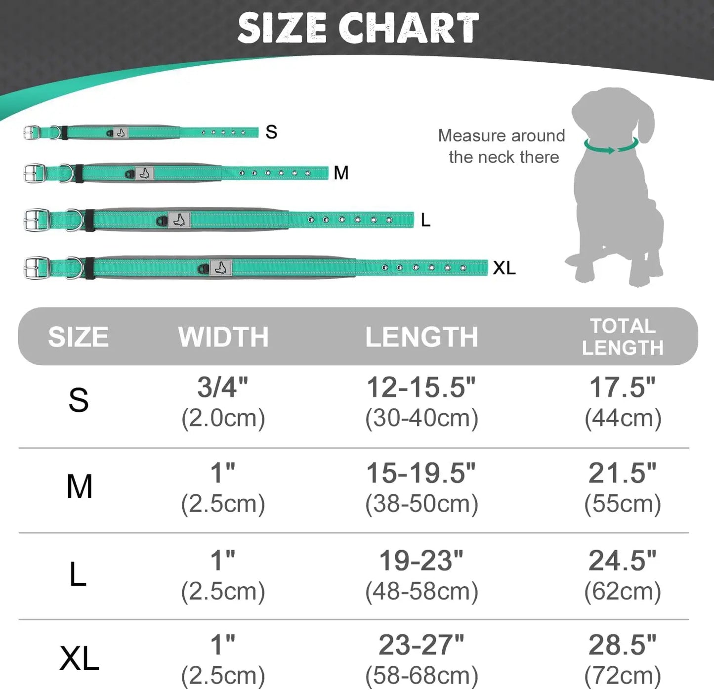 Reflective Padded Nylon Dog Collar – Heavy Duty & Adjustable