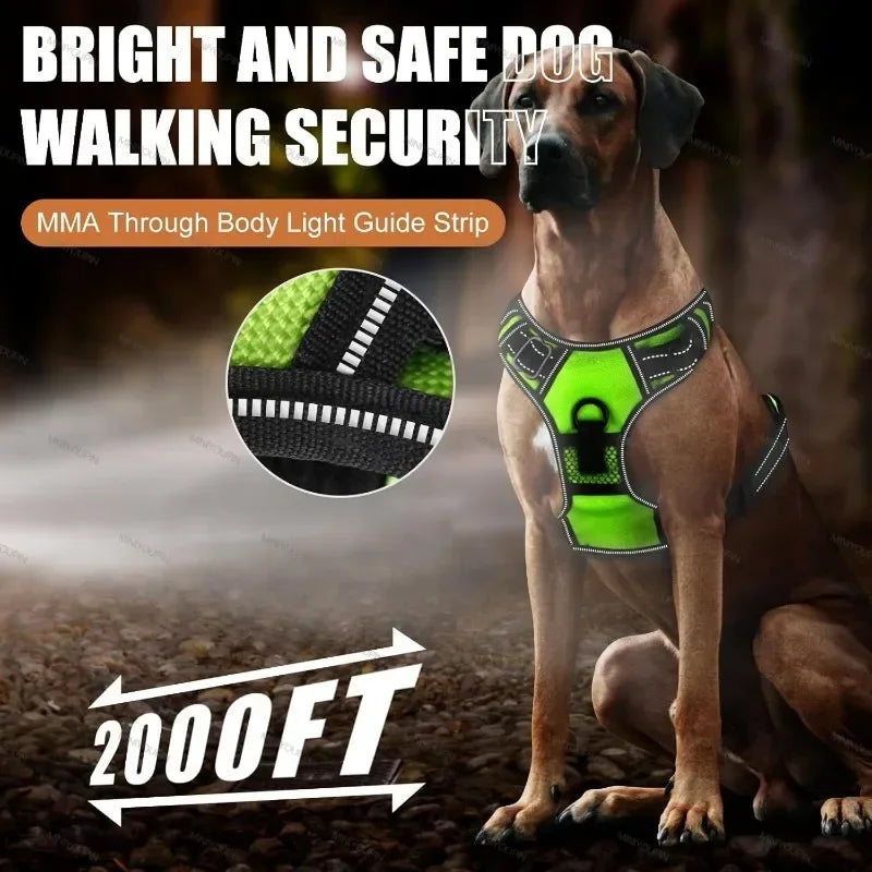 LED Luminous Rechargeable No-Pull Dog Harness – Adjustable Light-Up Pet Vest