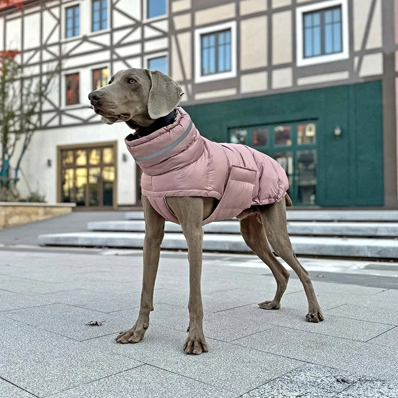 Pet Winter Warm Down Jacket 🐾