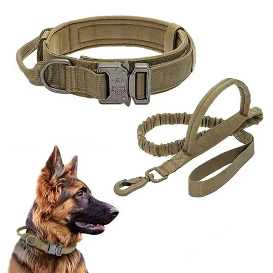 Tactical Dog Collar – Heavy-Duty Nylon with Metal Buckle