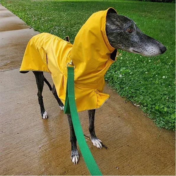 Italian Greyhound / Whippet Waterproof Winter Coat