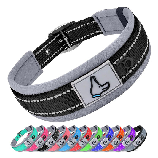 Solid Nylon Dog Collar – For Small, Medium, Large & XL Dogs