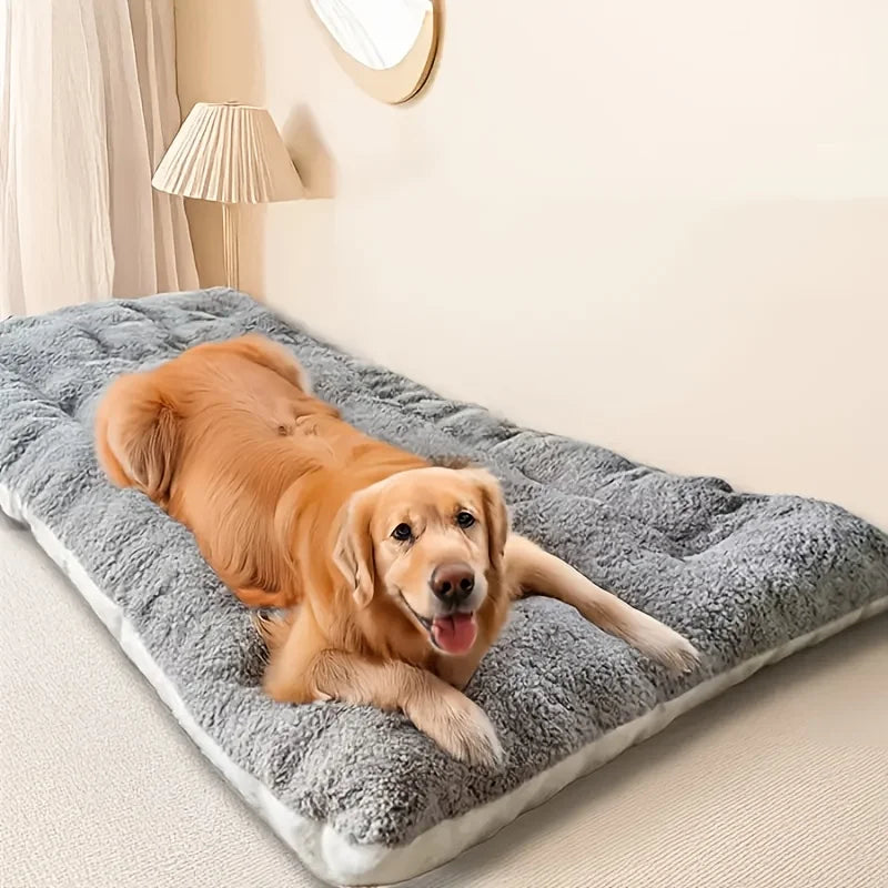 Elevated Dog Bed – Microfibre Leather Cover with Removable Cushion