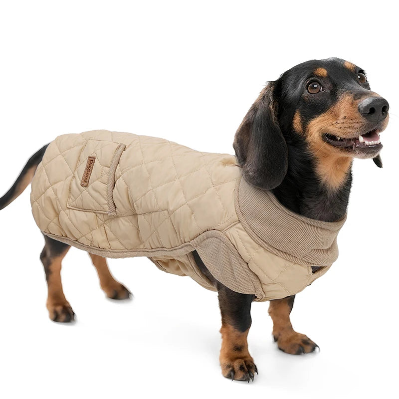 Winter Dog Coat for Dachshund – Water-Repellent Quilted Jacket for Small, Short-Leg Dogs 🐾