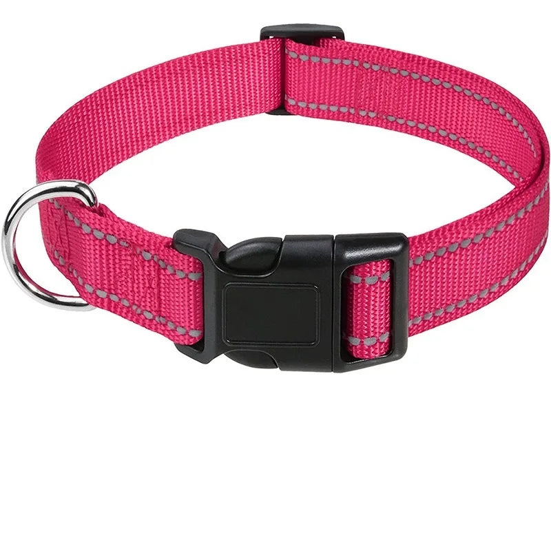 Adjustable Reflective Nylon Dog Collar – XS to XL