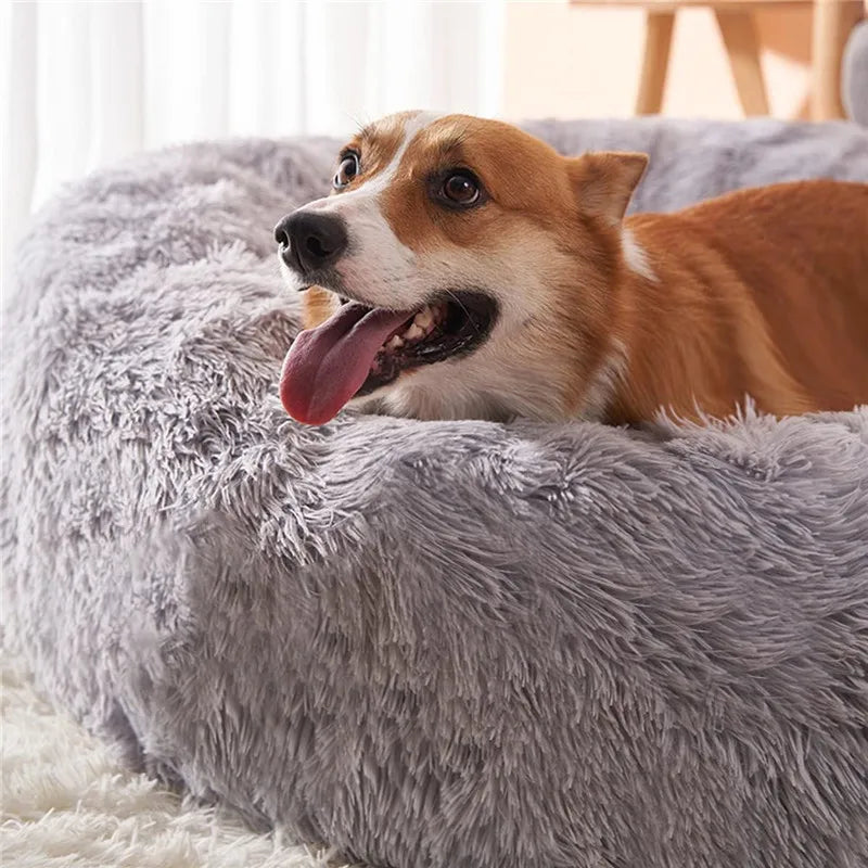 Luxury Round Pet Bed – Super Soft Plush for Cats & Large Dogs