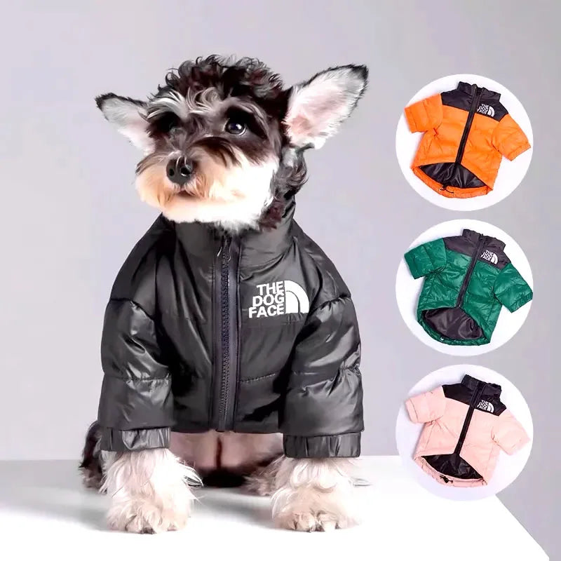 Winter Down Jacket for Schnauzer & French Bulldog