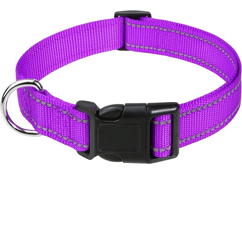 Choker Small Dog Collar – Decorative Adjustable