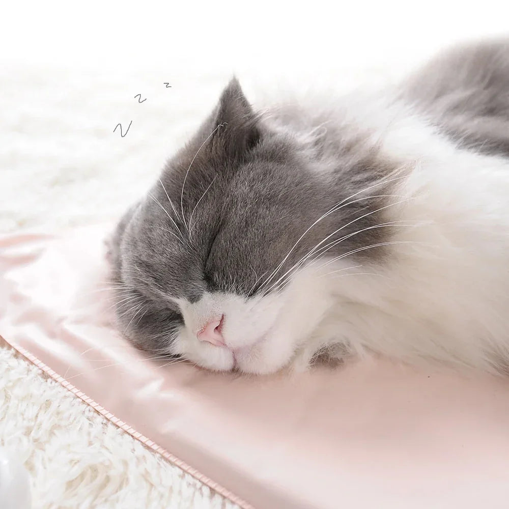 Electric Heated Pad for Dogs