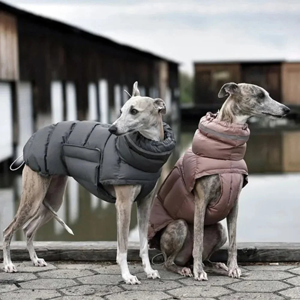 Pet Winter Warm Down Jacket 🐾