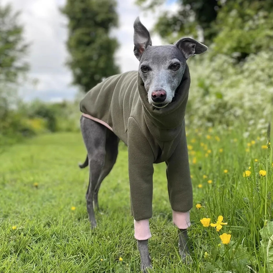 Winter Cotton Dog Coat – 4-Legged Warm Sweatshirt for Whippet, Italian Greyhound & Medium-Large Breeds 🐾