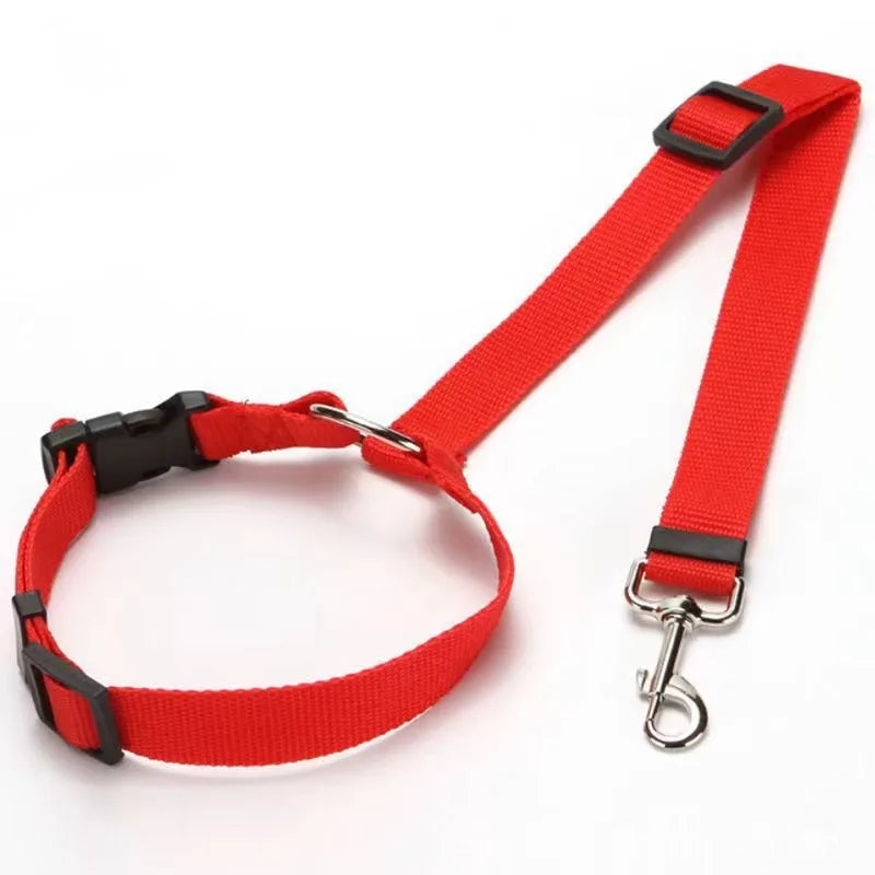 Two-in-One Pet Car Seat Belt &amp; Lead