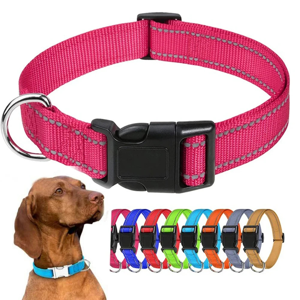 Adjustable Reflective Nylon Dog Collar – XS to XL