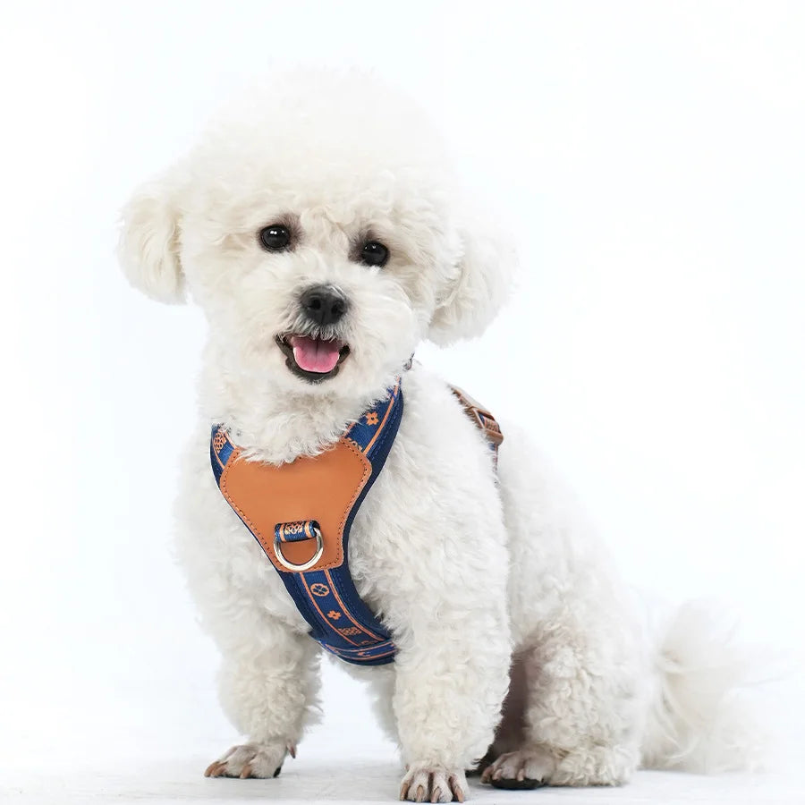 Adjustable Dog Harness – Nylon Vest for Small & Medium Pets