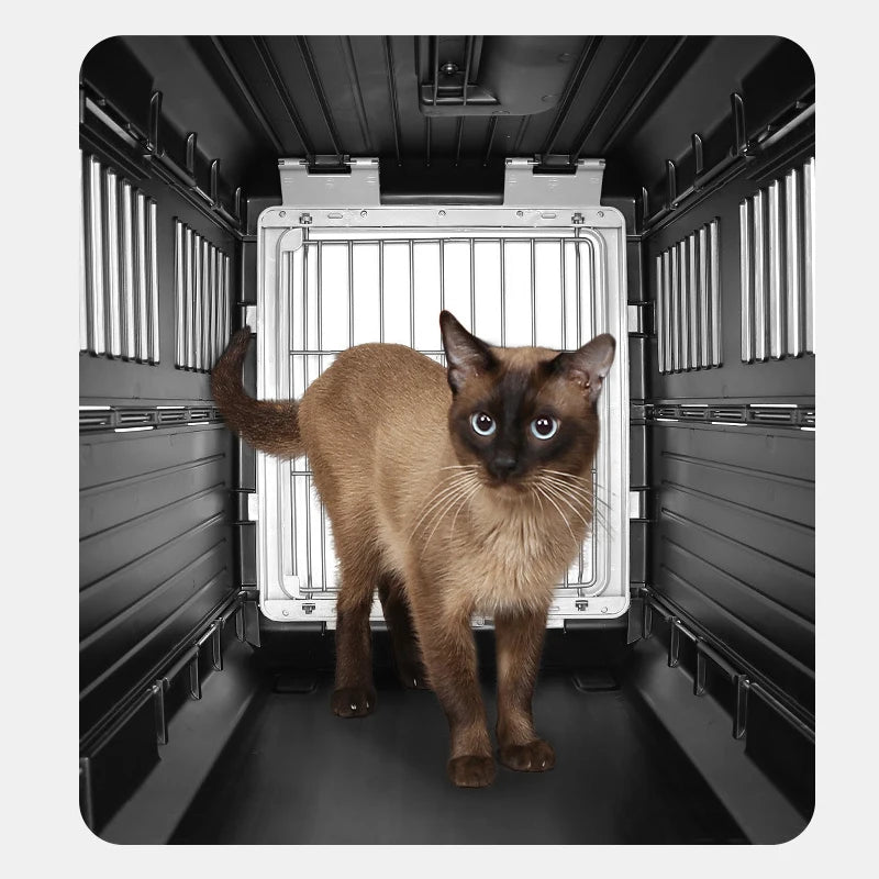 Folding Pet Travel Carrier – Compact Air Box for Cats & Small Dogs (Up to 12kg)
