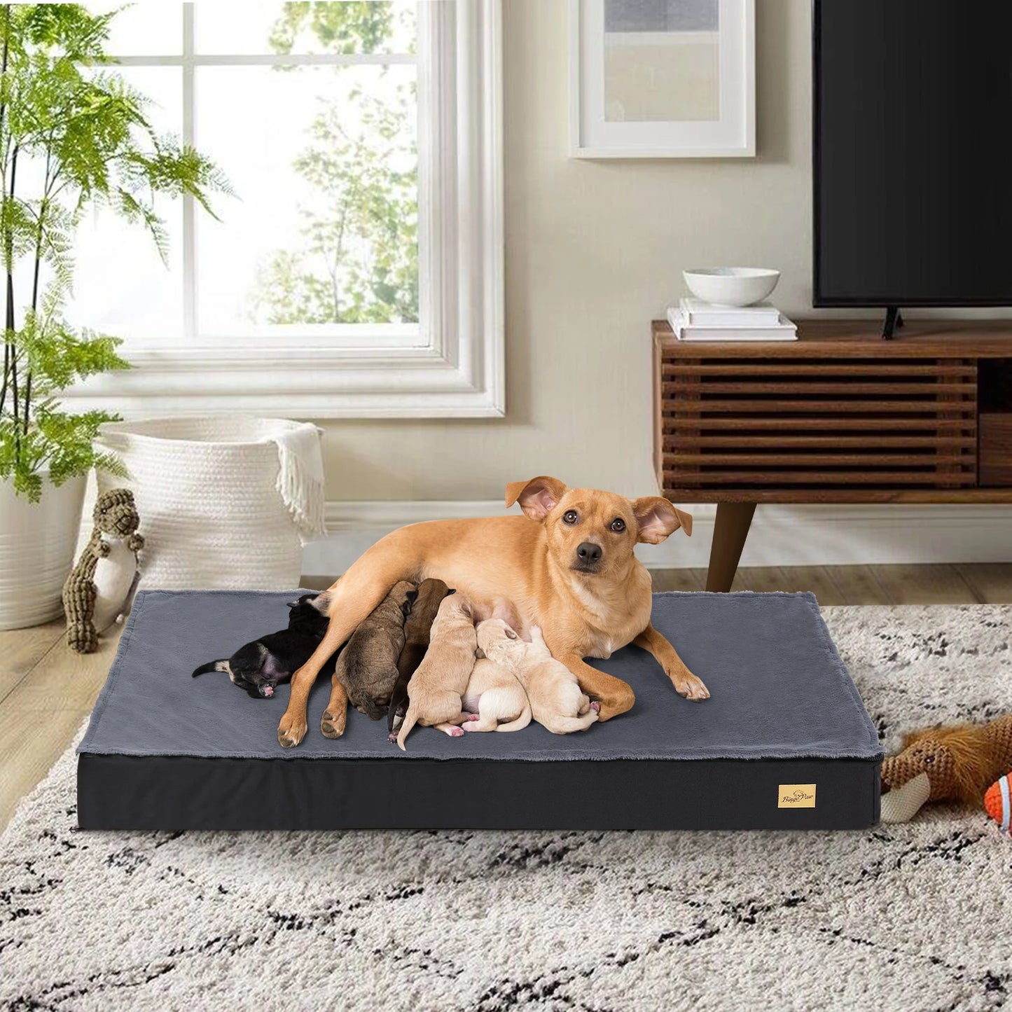 Orthopaedic Dog Bed for Dogs