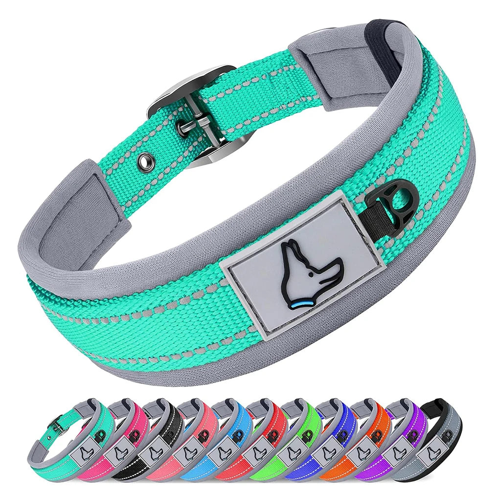Reflective Padded Nylon Dog Collar – Heavy Duty & Adjustable
